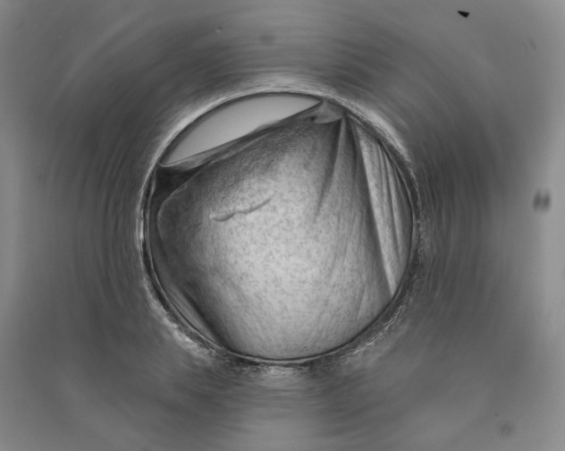 X0000090890839200708171704