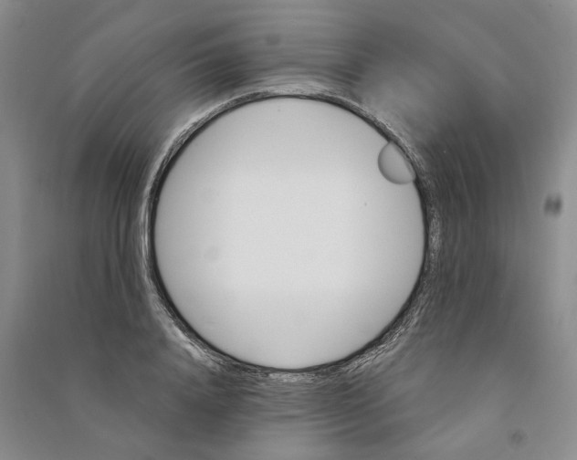 X0000090890840200708171704