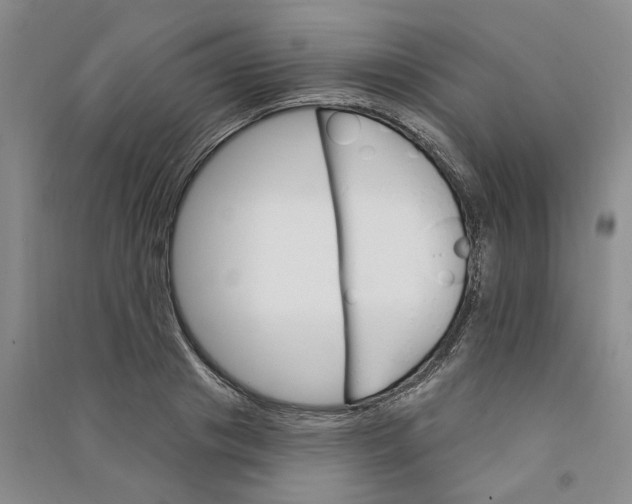 X0000090890841200708171704