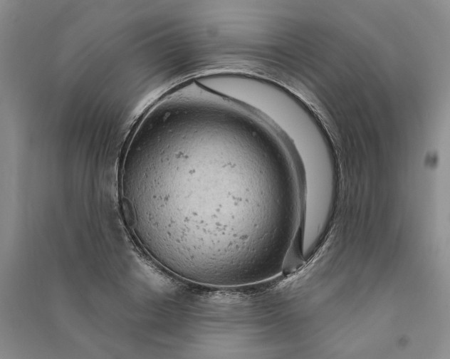 X0000090890842200708171704