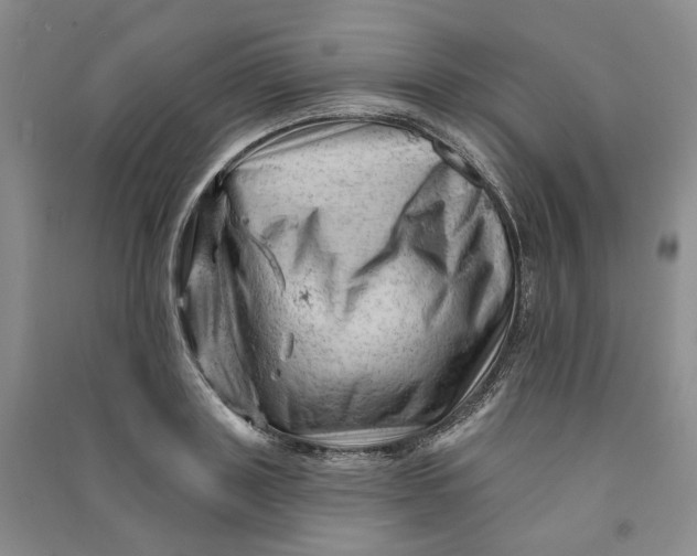 X0000090890843200708171704