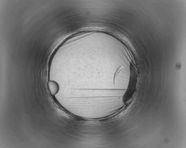 X0000090890844200708171704