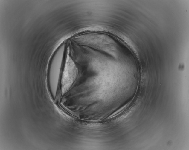 X0000090890845200708171704