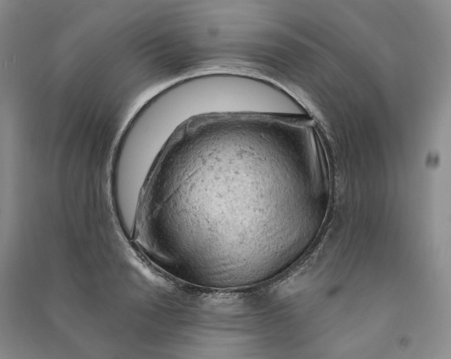 X0000090890846200708171704