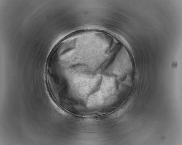 X0000090890847200708171704