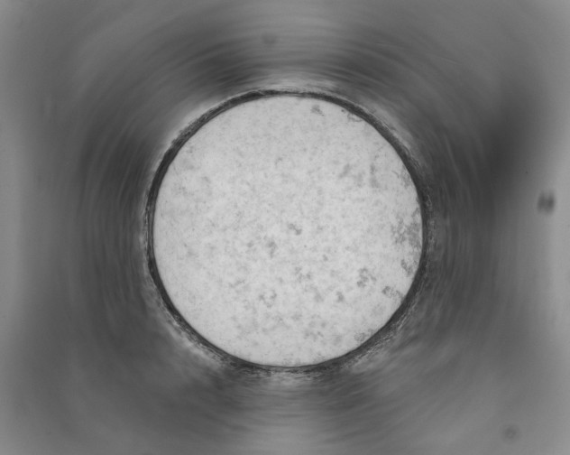 X0000090890848200708171704