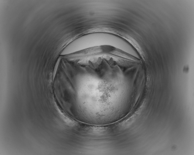 X0000090890849200708171704