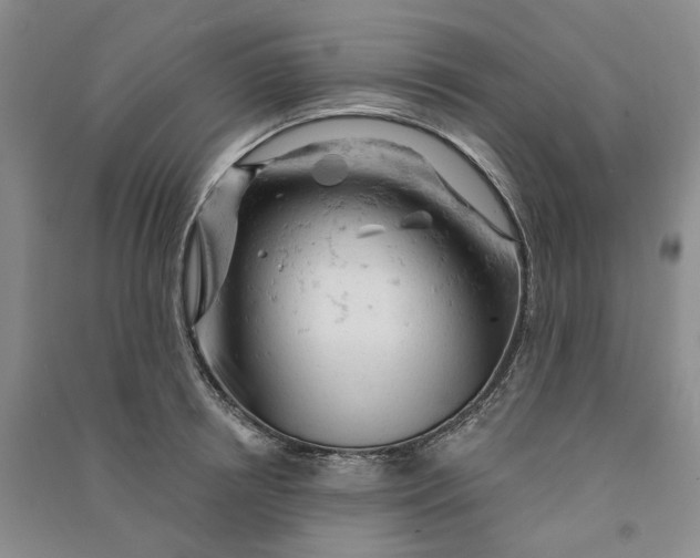 X0000090890850200708171704