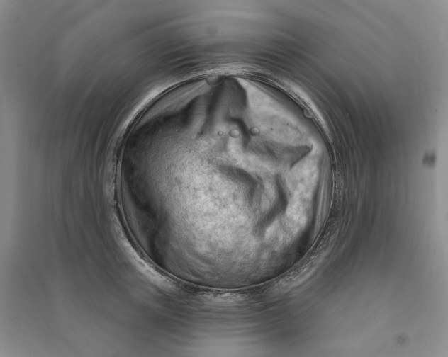 X0000090890851200708171704