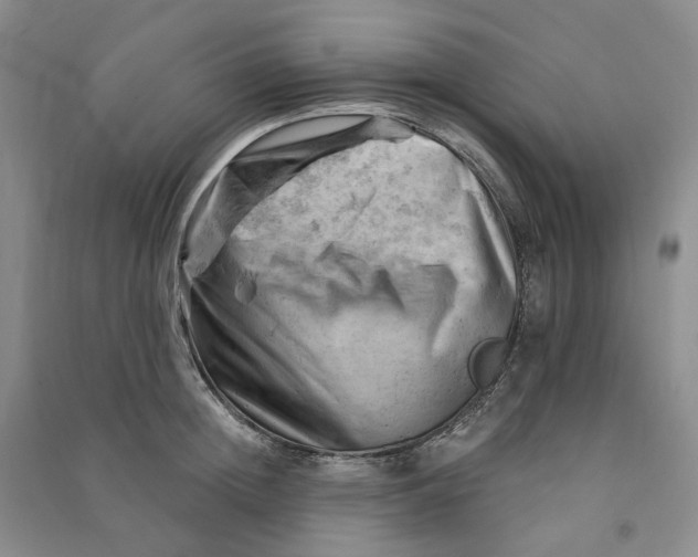 X0000090890852200708171704