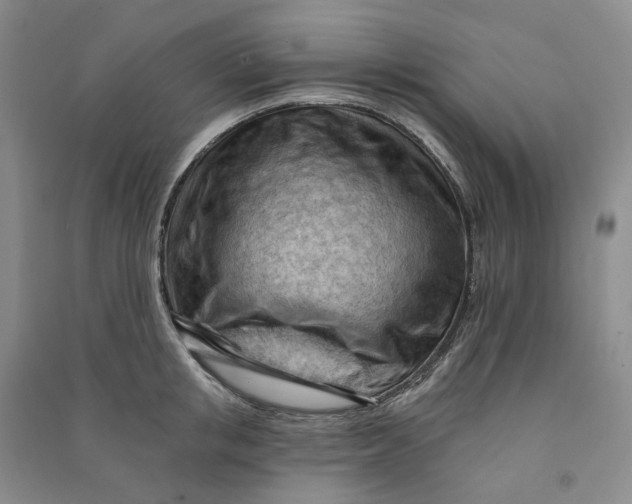 X0000090890853200708171704