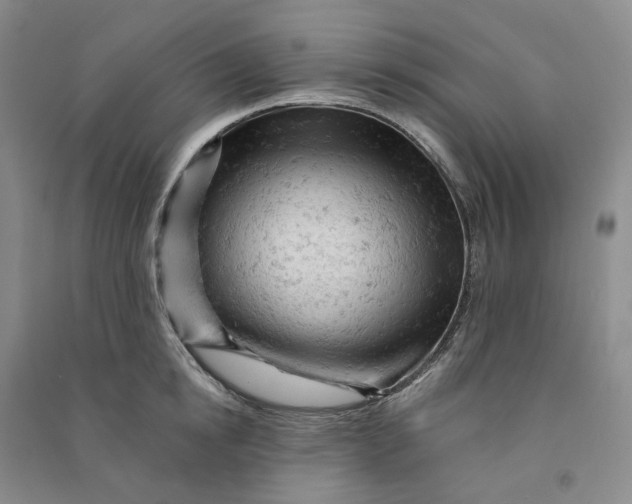 X0000090890854200708171704