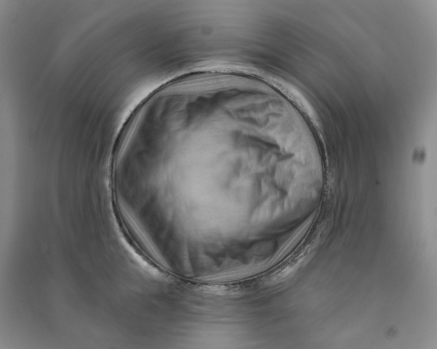 X0000090890855200708171704