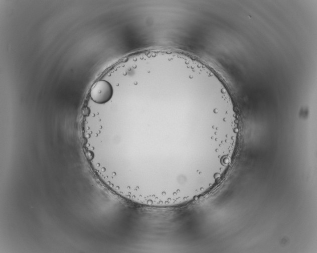 X0000090890856200708171704