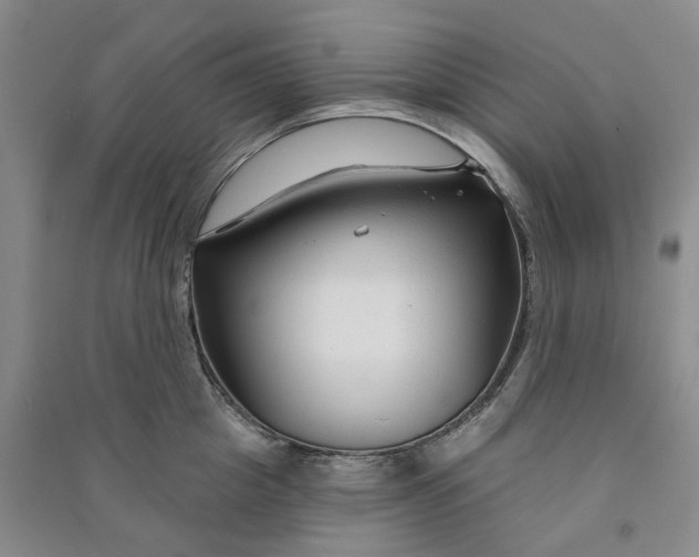 X0000090890857200708171704