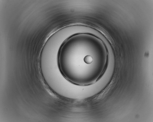 X0000090890858200708171704