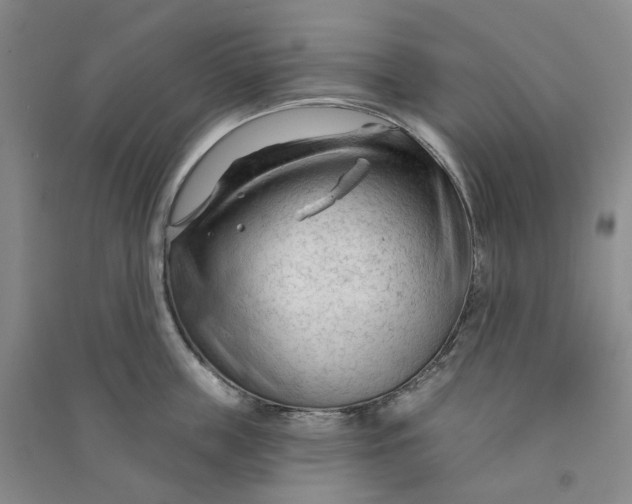 X0000090890859200708171704