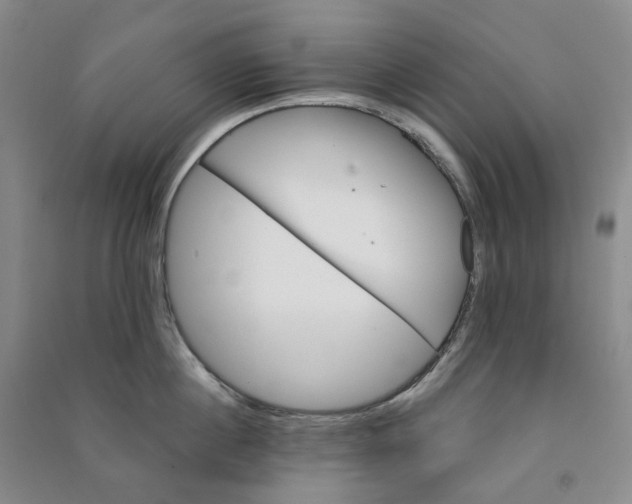 X0000090890860200708171704