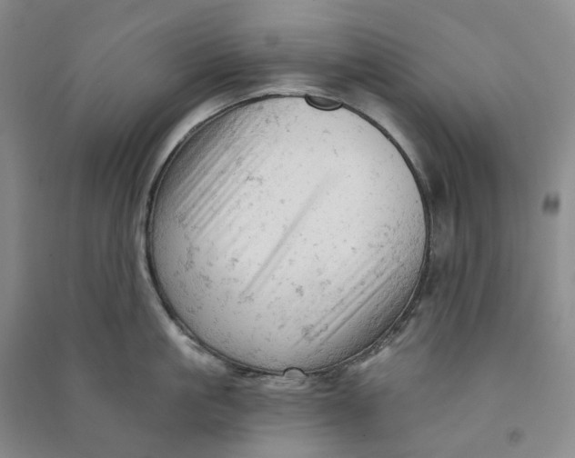 X0000090890861200708171704