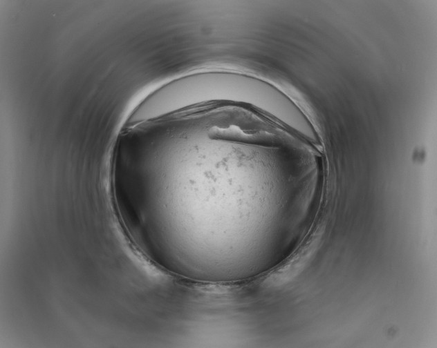 X0000090890862200708171704