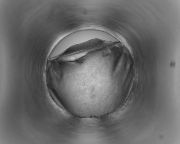 X0000090890863200708171704