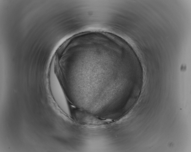 X0000090890864200708171704