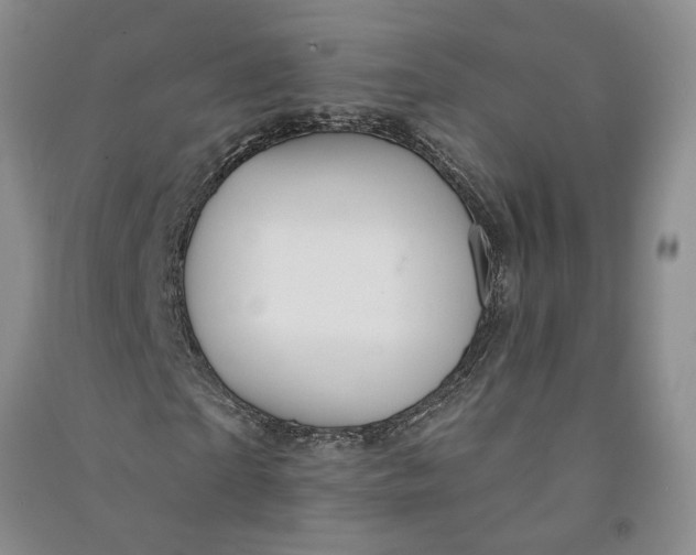 X0000090890865200708171704