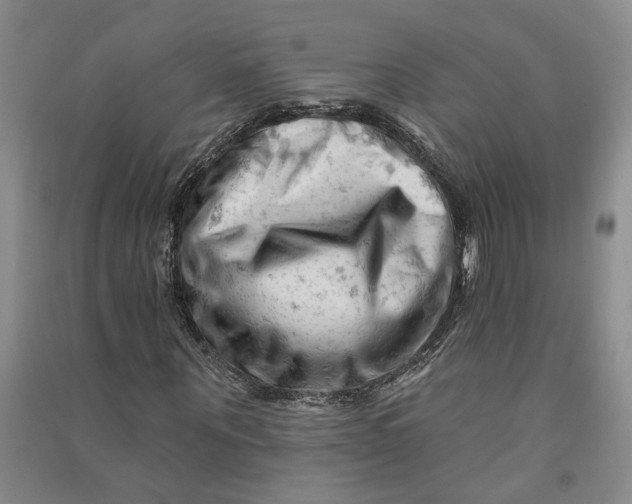 X0000090890867200708171704