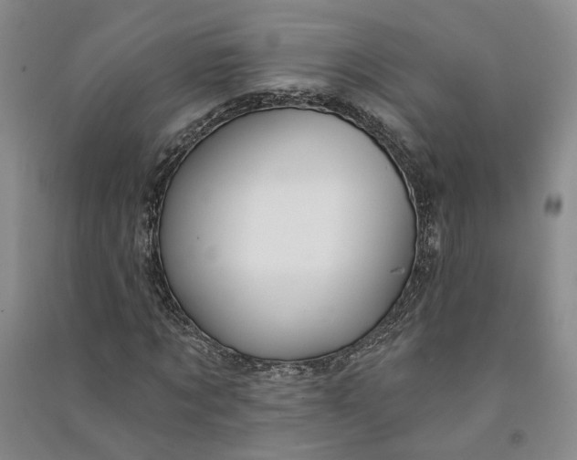 X0000090890869200708171704