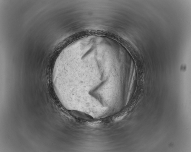 X0000090890870200708171704