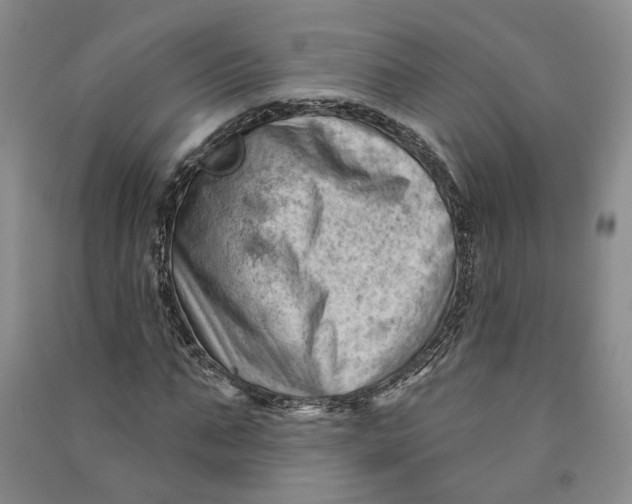 X0000090890871200708171704