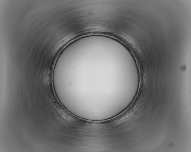 X0000090890873200708171704