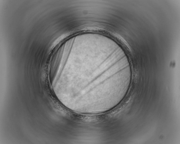 X0000090890874200708171703