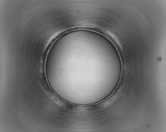 X0000090890875200708171703