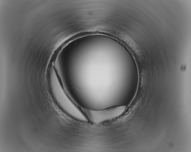 X0000090890876200708171703