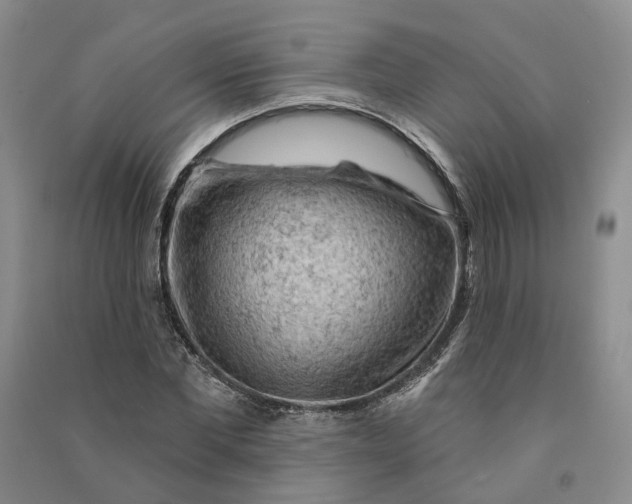 X0000090890877200708171703