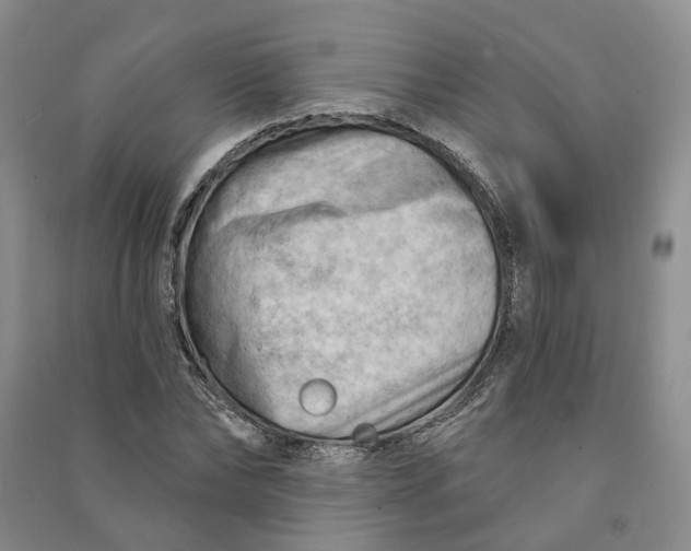 X0000090890878200708171703