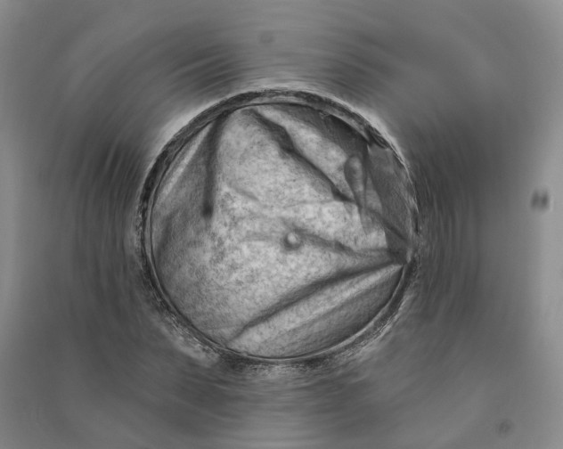 X0000090890879200708171703