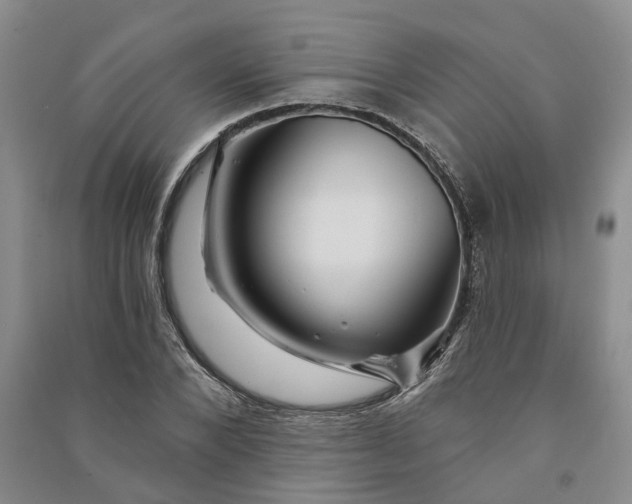 X0000090890880200708171703