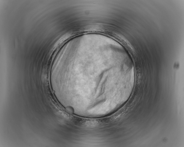 X0000090890882200708171703