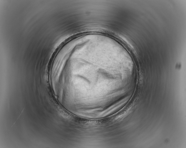 X0000090890883200708171703