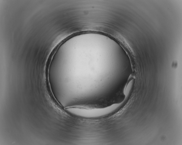 X0000090890884200708171703