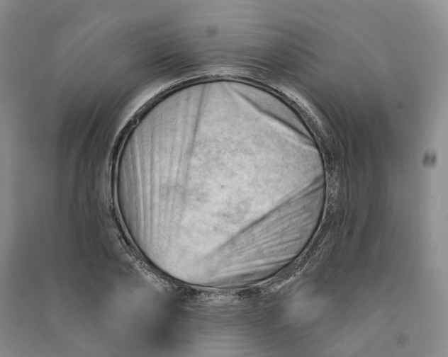 X0000090890886200708171703