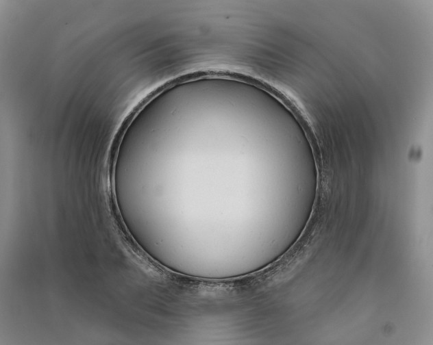 X0000090890887200708171703