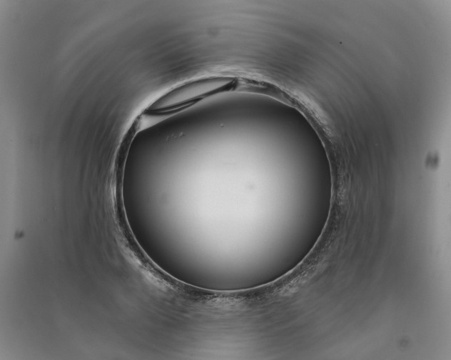 X0000090890888200708171703