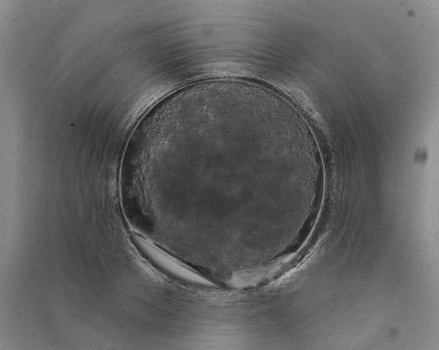 X0000090890889200708171703