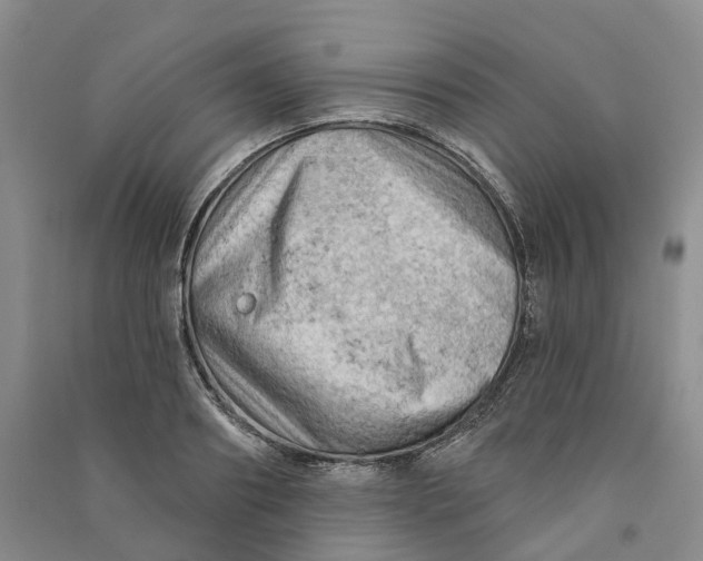 X0000090890890200708171703