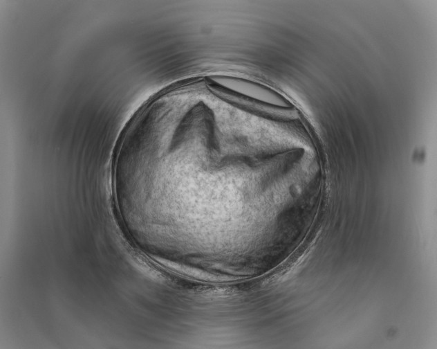 X0000090890891200708171703