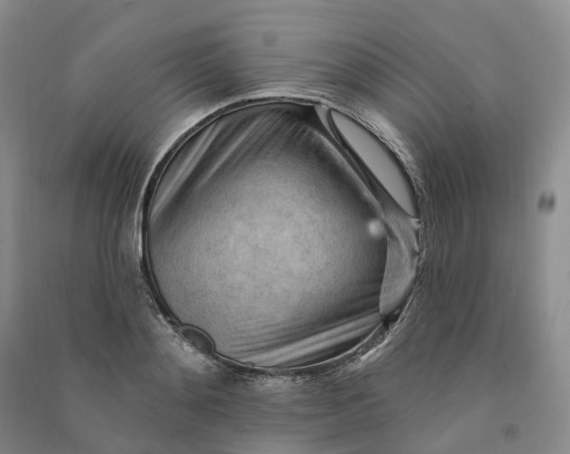 X0000090890892200708171703