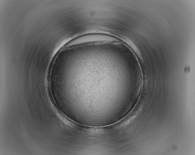 X0000090890893200708171703